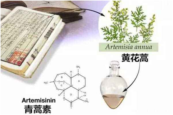 QIUYOUHUI.COM球友会体育(中国大陆)科技公司,：向中医药看齐，与世界共享中医药文化(图1)